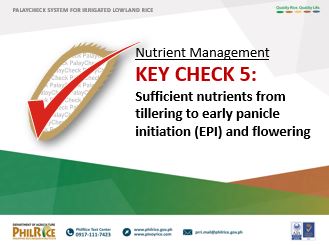 Nutrient Management